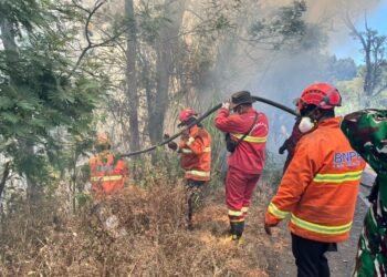 Tim gabungan melakukan pemadaman dan pembasahan karhutla di kawasan Gunung Bromo, Jawa Timur, Minggu (13/9). (Foto: BPBD Jawa Timur)