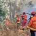 Tim gabungan melakukan pemadaman dan pembasahan karhutla di kawasan Gunung Bromo, Jawa Timur, Minggu (13/9). (Foto: BPBD Jawa Timur)