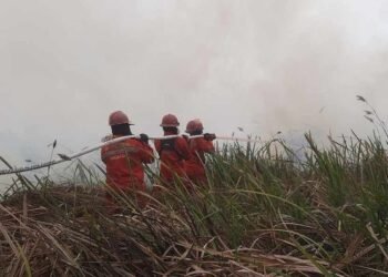 Petugas berjuang memadamkan karhutla. Menurut Kemenhut, hotspot dengan tingkat kepercayaan tinggi atau high confidence secara nasional kembali menunjukkan penurunan.(Foto: Humas Kemenhut)