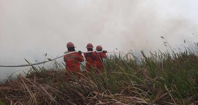 Petugas berjuang memadamkan karhutla. Menurut Kemenhut, hotspot dengan tingkat kepercayaan tinggi atau high confidence secara nasional kembali menunjukkan penurunan.(Foto: Humas Kemenhut)