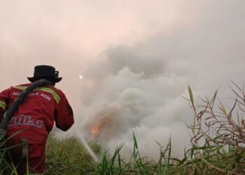 Penanganan kebakaran hutan dan lahan atau karhutla.(Foto: Humas Kemenhut)