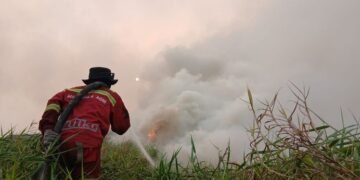 Penanganan kebakaran hutan dan lahan atau karhutla.(Foto: Humas Kemenhut)