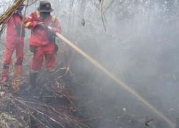 Kementerian Kehutanan bersama tim gabungan memperkuat operasi pengendalian kebakaran hutan dan lahan (karhutla) menyusul peningkatan hotspot dengan tingkat kepercayaan tinggi atau high confidence, terutama di wilayah Kalimantan.(Foto: Humas Kemenhut)