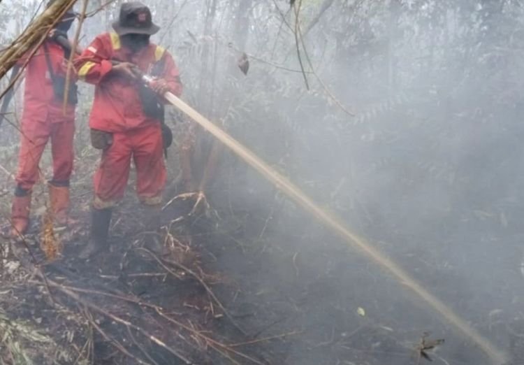 Kementerian Kehutanan bersama tim gabungan memperkuat operasi pengendalian kebakaran hutan dan lahan (karhutla) menyusul peningkatan hotspot dengan tingkat kepercayaan tinggi atau high confidence, terutama di wilayah Kalimantan.(Foto: Humas Kemenhut)
