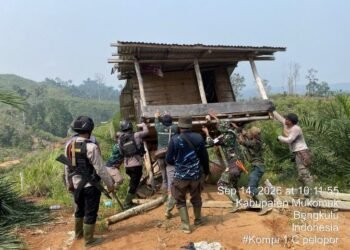 Penertiban kawasan di Bentang Alam Seblat.(Foto: Humas Kemenhut)