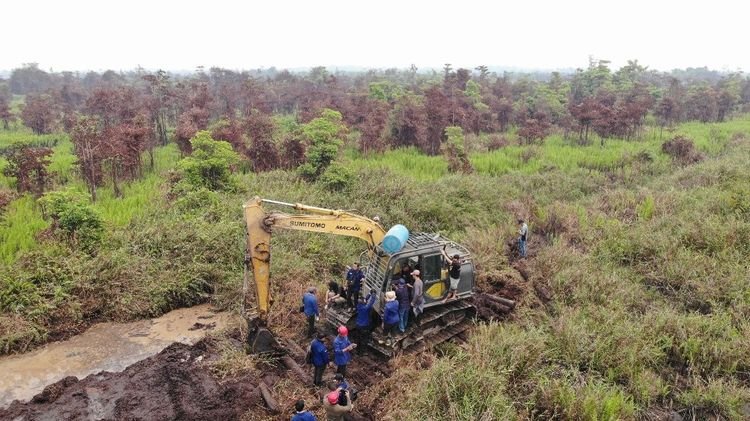Tim Gabungan Kementerian Kehutanan (Kemenhut) memergoki aksi perambahan hutan ilegal di Desa Sungai Awan Kiri, Kabupaten Ketapang, Kalimantan Barat, Jumat (4/9).(Foto: Humas Kemenhut)