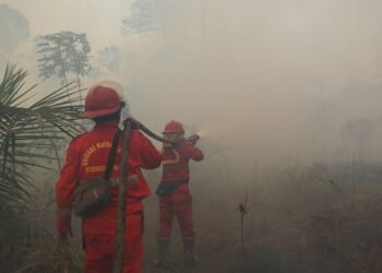 Petugas pemadam kebakaran hutan dan lahan.(Foto: Humas Kemenhut)