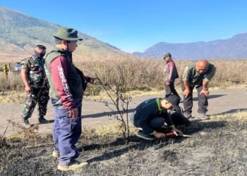 Tim ahli karhutla dan akademisi menelusuri penyebab utama kebakaran Gunung Bromo serta mengusut dugaan tindak pidananya.(Foto: Humas Kemenhut)