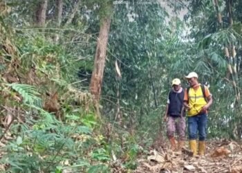 Petugas sisir hutan untuk antisipasi karhutla di Sumedang.(Foto: Diskominfo Kab. Sumedang)