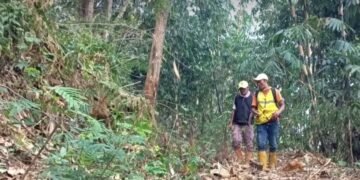 Petugas sisir hutan untuk antisipasi karhutla di Sumedang.(Foto: Diskominfo Kab. Sumedang)