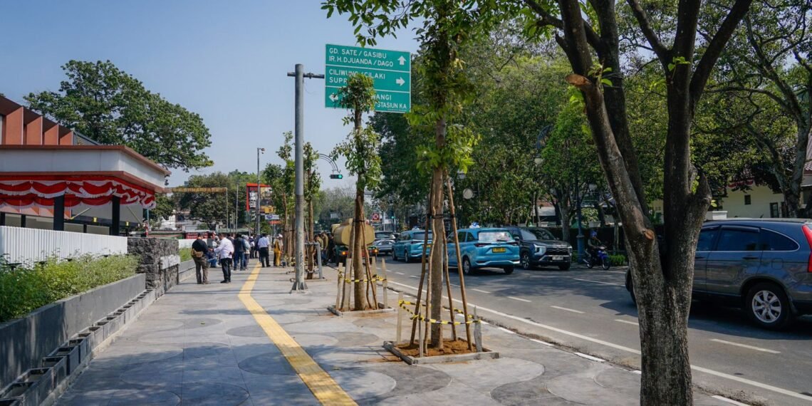 Wali Kota Bandung, Muhammad Farhan mengatakan, pohon yang sebelumnya dipotong di kawasan Jalan R.E. Martadinata (Jalan Riau) telah dilakukan penanaman kembali sebagai bagian dari upaya pemulihan lingkungan.(Foto: Humas Pemkot Bandung)