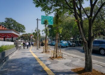 Wali Kota Bandung, Muhammad Farhan mengatakan, pohon yang sebelumnya dipotong di kawasan Jalan R.E. Martadinata (Jalan Riau) telah dilakukan penanaman kembali sebagai bagian dari upaya pemulihan lingkungan.(Foto: Humas Pemkot Bandung)