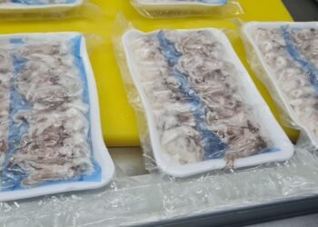 Produk olahan ikan asal Kab Bogor.(Foto: Humas Pemkab Bogor)