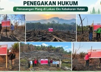 Penegakan hukum pada kasus pelanggaran yang akibatkan kebakaran hutan dan lahan atau karhutla.(Image: Humas Kemenhut)