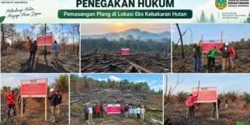 Penegakan hukum pada kasus pelanggaran yang akibatkan kebakaran hutan dan lahan atau karhutla.(Image: Humas Kemenhut)