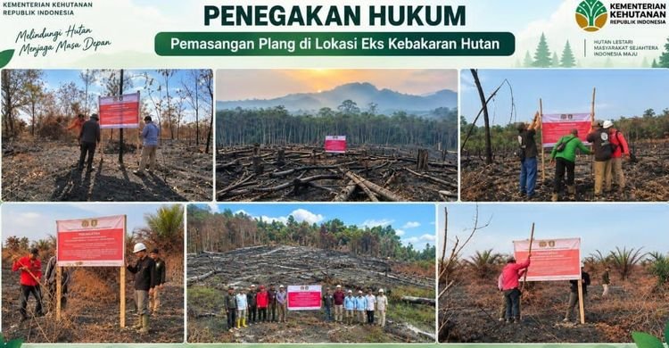 Penegakan hukum pada kasus pelanggaran yang akibatkan kebakaran hutan dan lahan atau karhutla.(Image: Humas Kemenhut)