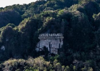 Taman Nasional Bantimurung.(Foto: Humas Kemenpar)