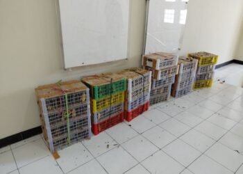 Petugas mengamankan 190 ekor burung, terdiri atas 186 ekor Cucak Cica Daun Besar dan 4 ekor Merbah Belukar yang dikemas dalam boks plastic di Pelabuhan Jamrud Surabaya.(Foto: Humas Kemenhut)