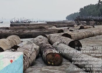 Ratusan batang kayu hanyut di perairan Sumenep Madura.(Foto: Dok Humas Kemenhut/website Kemenhut)