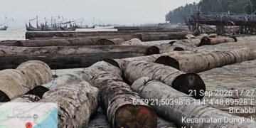 Ratusan batang kayu hanyut di perairan Sumenep Madura.(Foto: Dok Humas Kemenhut/website Kemenhut)