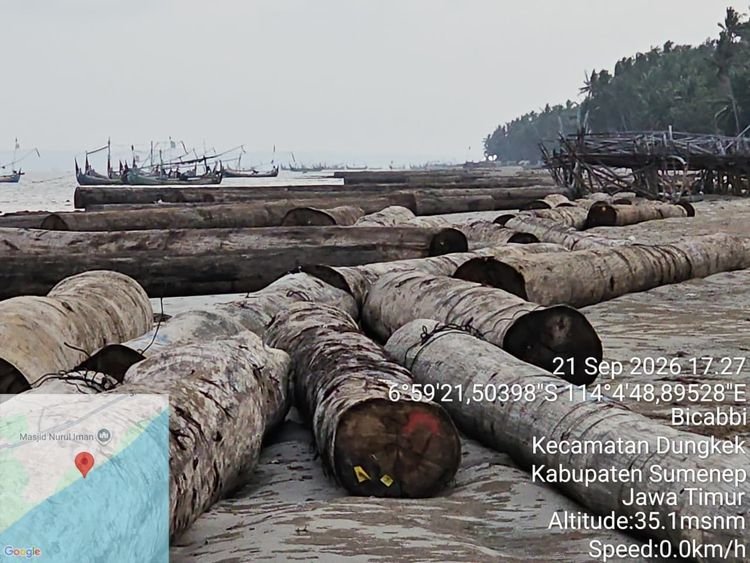 Ratusan batang kayu hanyut di perairan Sumenep Madura.(Foto: Dok Humas Kemenhut/website Kemenhut)