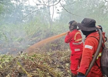 Pemadaman Karhutla.(Foto: Humas Kemenhut)