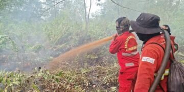 Pemadaman Karhutla.(Foto: Humas Kemenhut)
