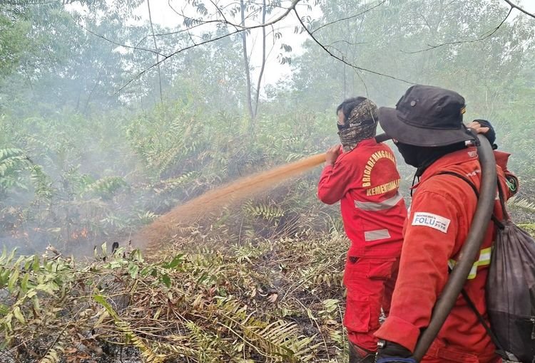 Pemadaman Karhutla.(Foto: Humas Kemenhut)
