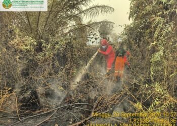 Penanganan karhutla.(Foto: Humas Kemenhut)