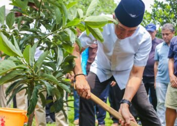 Wali Kota Bogor, Dedie A. Rachim, bersama jajaran panitia Festival Merah Putih (FMP) Tahun 2026 menanam bibit pohon alpukat di Masjid Al Kautsar Bogor Raya, Bogor Timur, Minggu (27/9/2026).(Foto: Humas Pemkot Bogor)