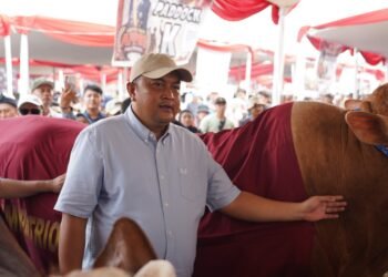 Bupati Bogor Rudy Susmanto menghadiri hari terakhir Kontes Sapi Asosiasi Peternak dan Penggemar Sapi Indonesia (APPSI) Piala Presiden 2026 yang berlangsung di Lapangan Panahan Gelora Pakansari, Kabupaten Bogor, Minggu (4/10/2026).(Foto: Diskominfo Kab. Bogor)
