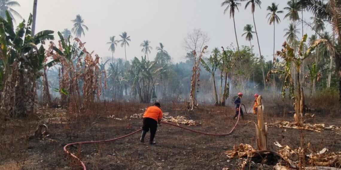 Tim gabungan berupaya memadamkan kebakaran hutan dan lahan yang terjadi di Kelurahan Labia Bae, Kecamatan Ampana, Kabupaten Tojo Una-Una, Sulawesi Tengah, Minggu (18/10). (Foto: BPBD Kabupaten Tojo Una-Una)
