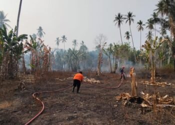 Tim gabungan berupaya memadamkan kebakaran hutan dan lahan yang terjadi di Kelurahan Labia Bae, Kecamatan Ampana, Kabupaten Tojo Una-Una, Sulawesi Tengah, Minggu (18/10). (Foto: BPBD Kabupaten Tojo Una-Una)