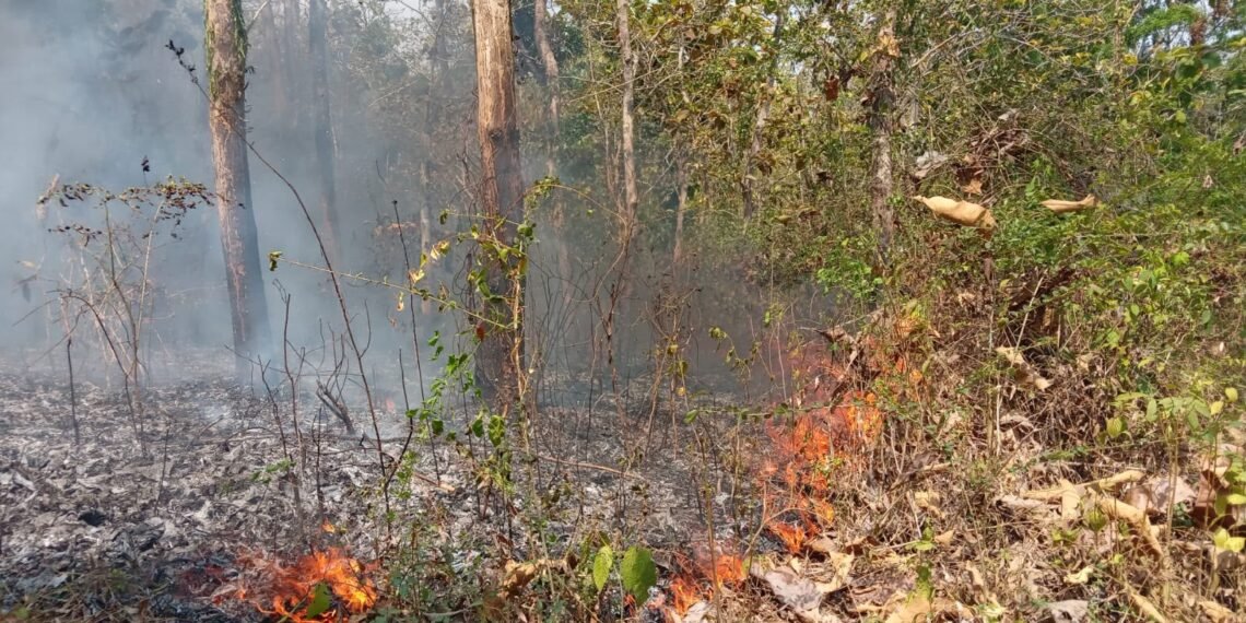 Kondisi lahan yang terbakal terjadi di Desa Kawung, Kecamatan Gesi, Kabupaten Sragen, Jawa Tengah pada Kamis (8/10). (Foto: BPBD Kabupaten Sragen)