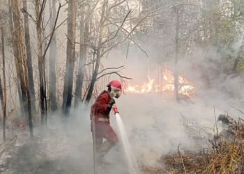 Kebakaran hutan dan lahan (karhutla).(Foto: Humas Kemenhut)