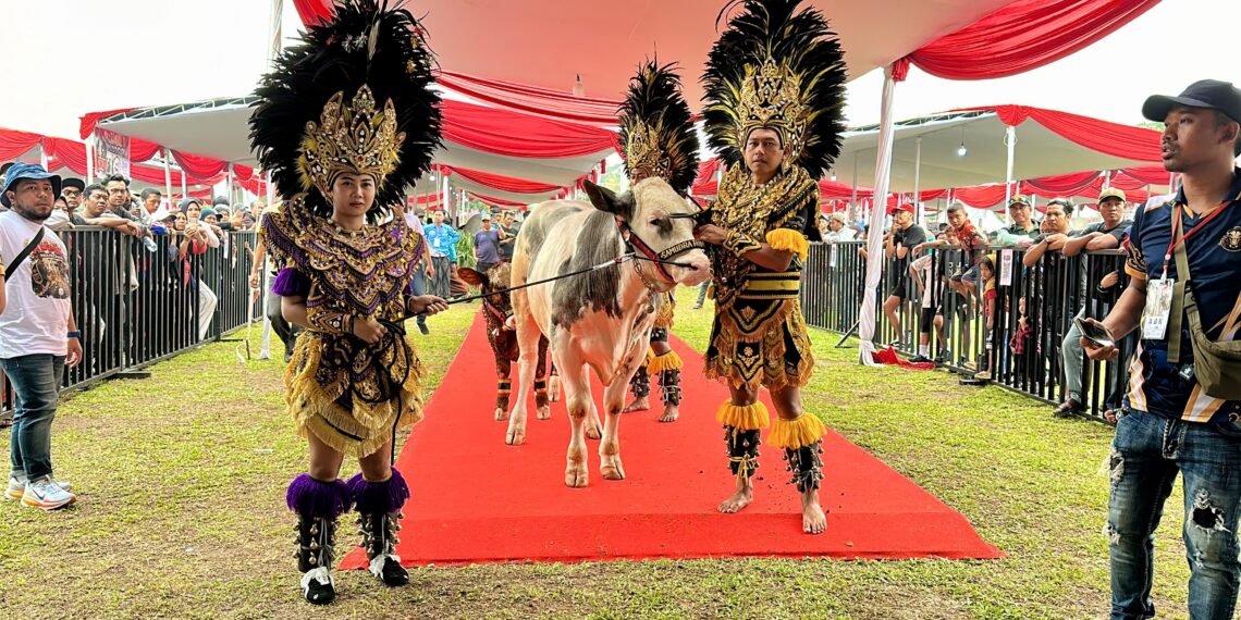 Pemkab Bogor dan APPSI gelar Kontes Sapi APPSI Piala Presiden 2026 di Lapangan Panahan Gelora Pakansari, Cibinong, Sabtu (3/10).(Foto: Diskominfo Kab. Bogor)