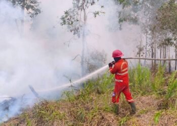 Pemadaman karhutla oleh Kemenhut dan jajaran.(Foto: Humas Kemenhut)