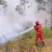 Pemadaman karhutla oleh Kemenhut dan jajaran.(Foto: Humas Kemenhut)