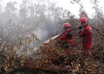 Pemadaman karhutla oleh petugas lewat operasi darat.(Foto: Kemenhut)