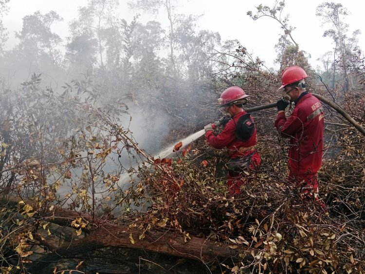 Pemadaman karhutla oleh petugas lewat operasi darat.(Foto: Kemenhut)