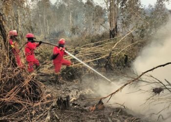 Penanganan karhutla guna menekan titik panas.(Foto: Humas Kemenhut)