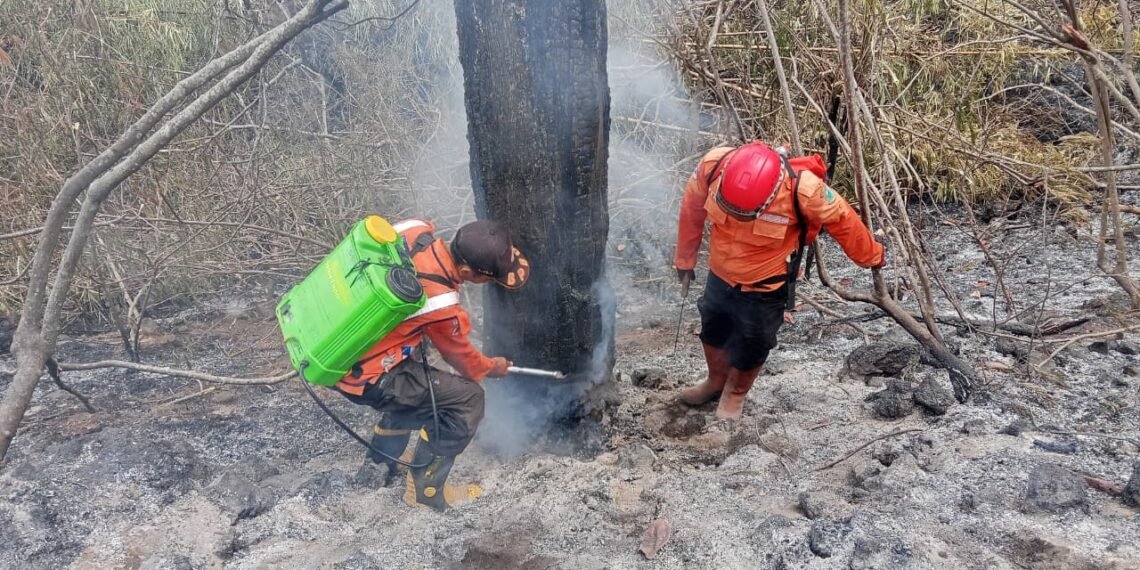 Foto : Penanganan karhutla yang melanda kawasan Hutan Resort SPTN Wilayah I Kuningan, Taman Nasional Gunung Ciremai, Kabupaten Kuningan, Provinsi Jawa Barat (25/10). (BPBD Kabupaten Kuningan)