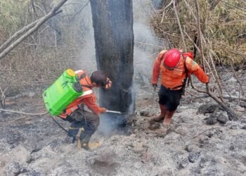 Foto : Penanganan karhutla yang melanda kawasan Hutan Resort SPTN Wilayah I Kuningan, Taman Nasional Gunung Ciremai, Kabupaten Kuningan, Provinsi Jawa Barat (25/10). (BPBD Kabupaten Kuningan)
