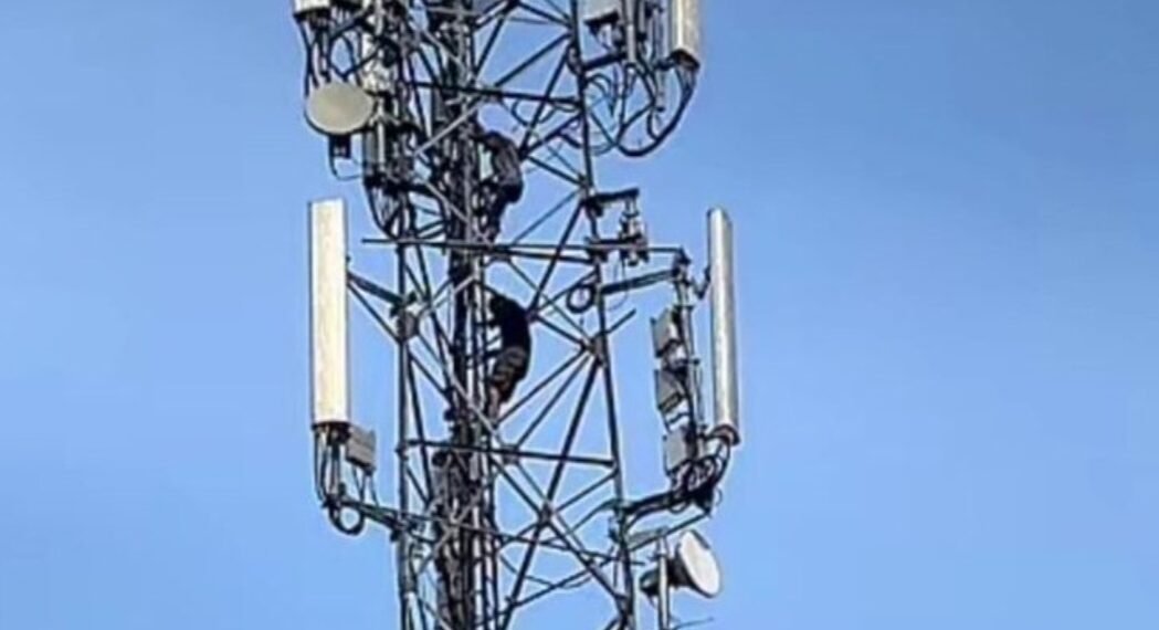 2 pencuri kabel provider di Cicalengka, Kabupaten Bandung, bertahan di atas tower setelah tertangkap tangan.(Foto:Istimewa).
